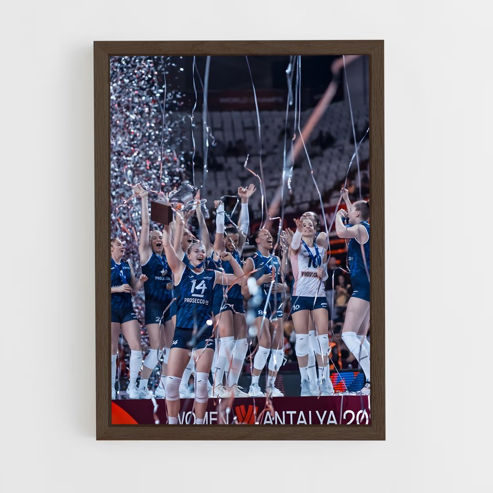 Poster Volleyball world précieux (vue 5)